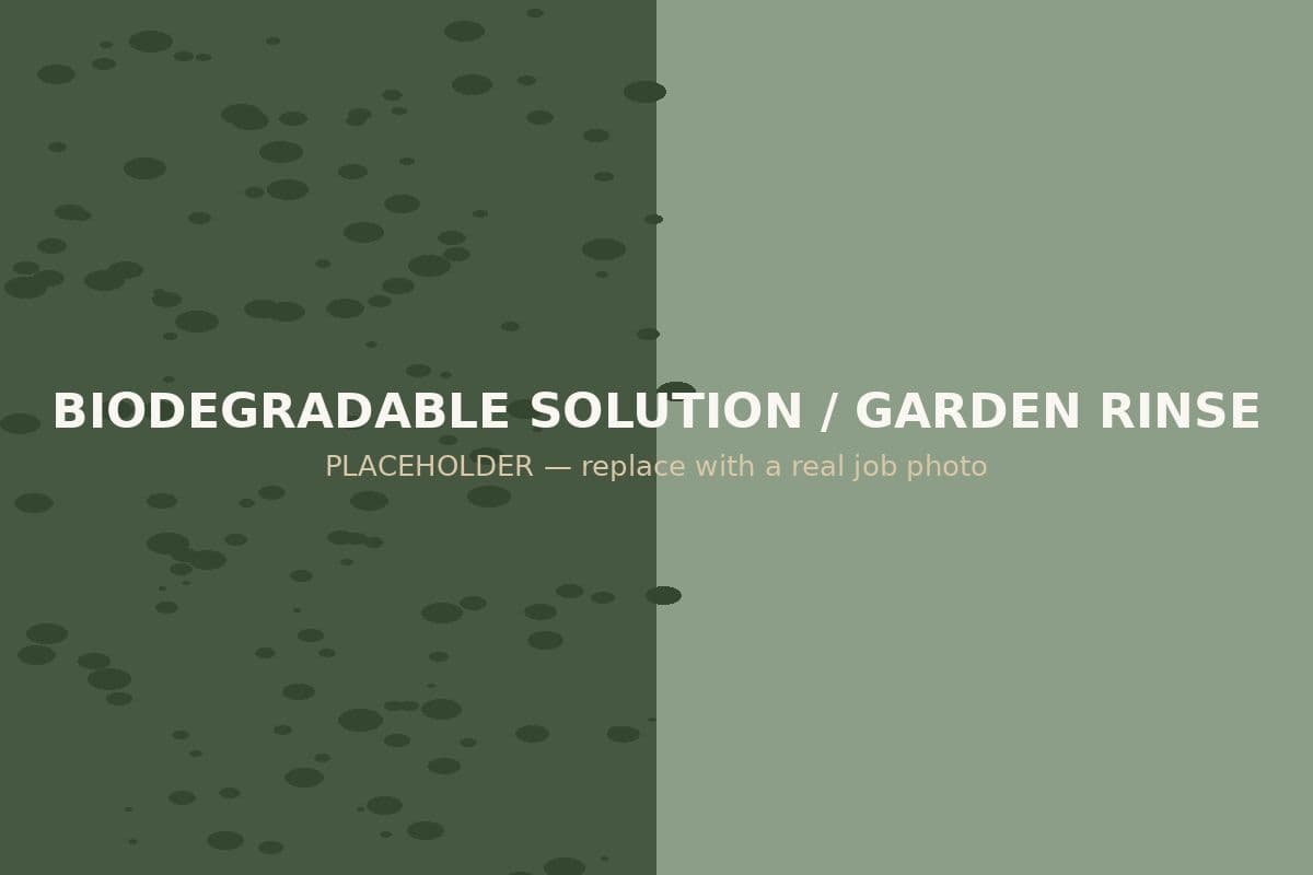 Soft-wash solution being applied to a rendered wall with gardens pre-wet below